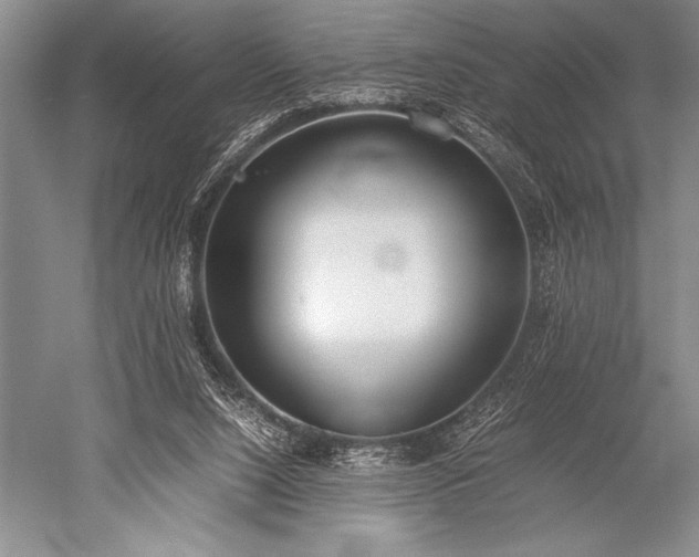 X0000052580064200507081739