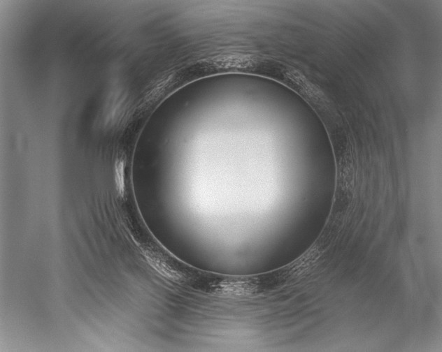 X0000052580070200507081739