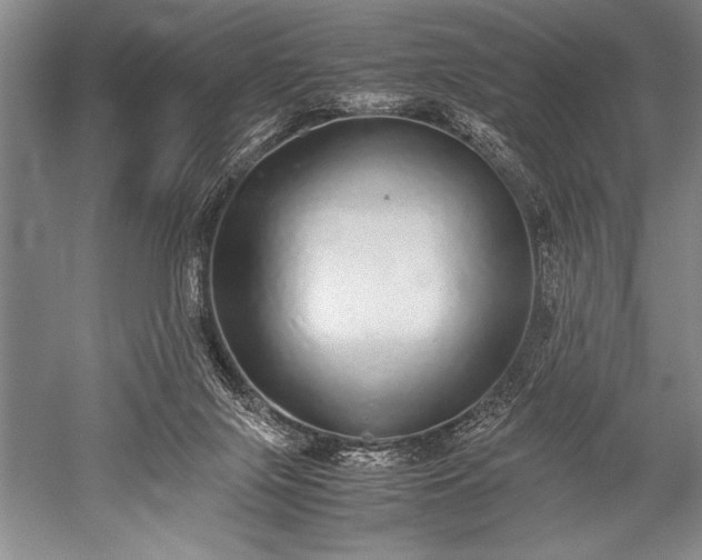 X0000052580071200507081739