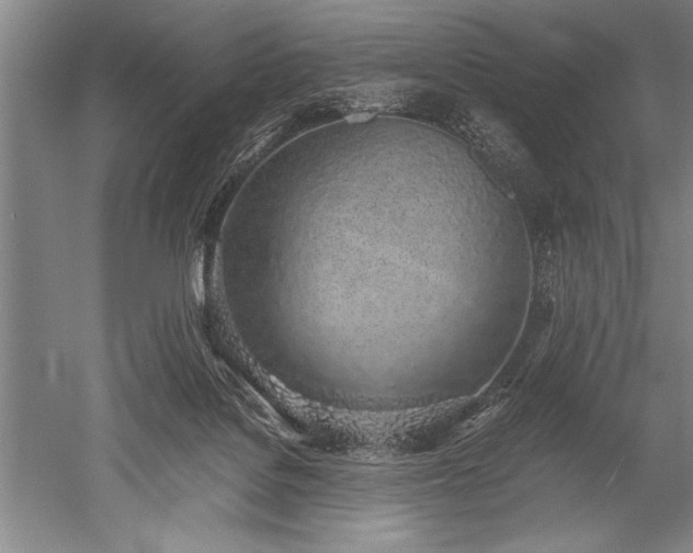 X0000052580076200507081739