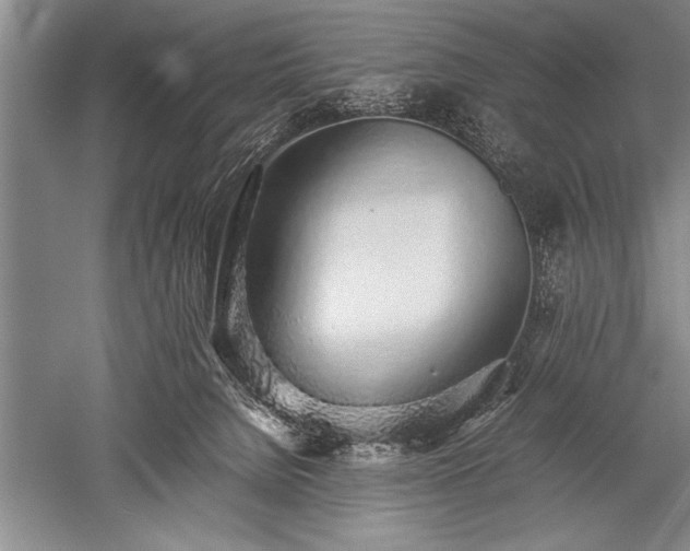 X0000052580080200507081739