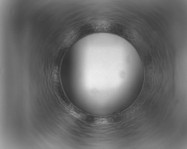X0000052580083200507081739