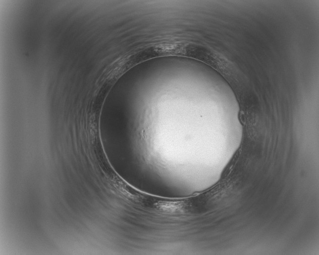 X0000052580085200507081739