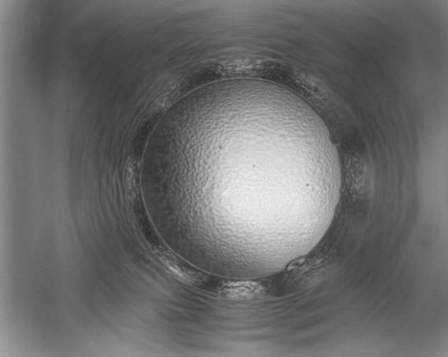 X0000052580087200507081739