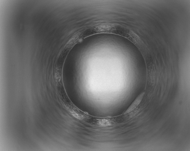 X0000052580091200507081739