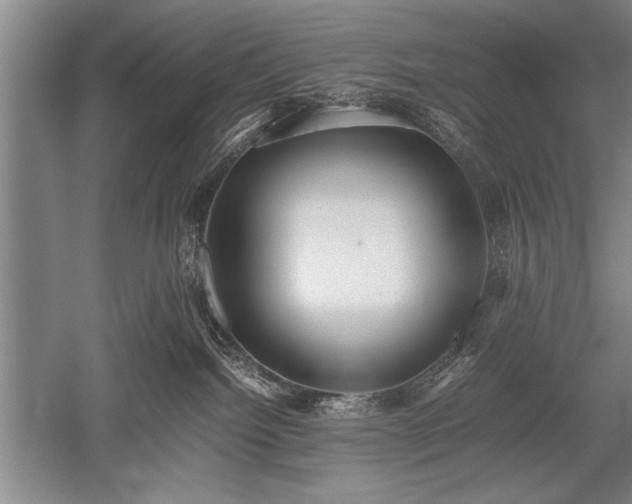 X0000052580092200507081739