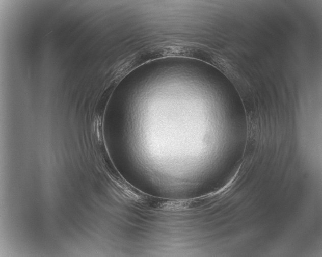 X0000052580094200507081739