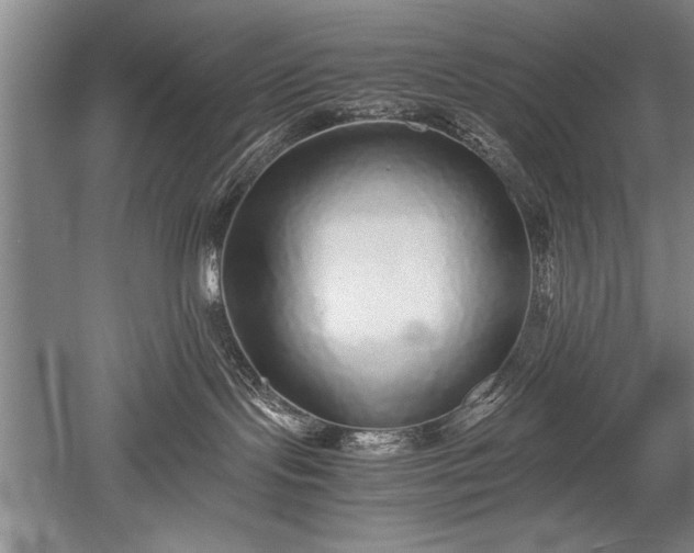 X0000052580095200507081739