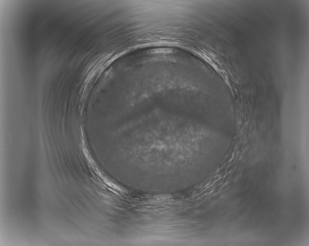 X0000052580097200507081738