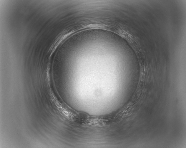 X0000052580098200507081738