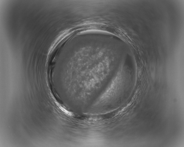 X0000052580101200507081738