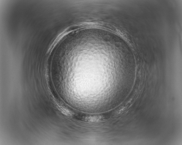 X0000052580103200507081738