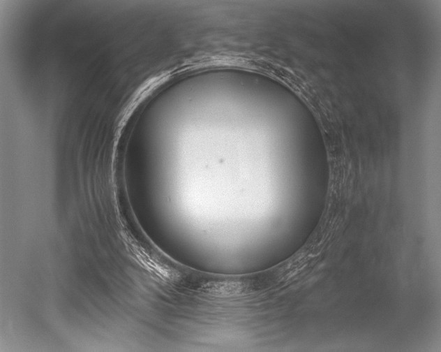 X0000052580104200507081738