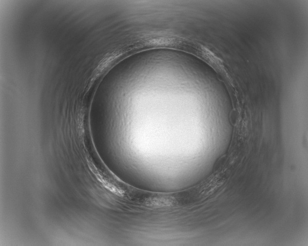X0000052580106200507081738