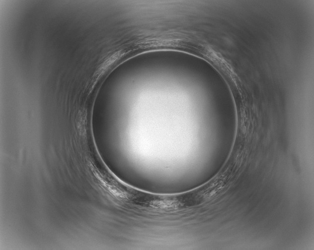 X0000052580107200507081738