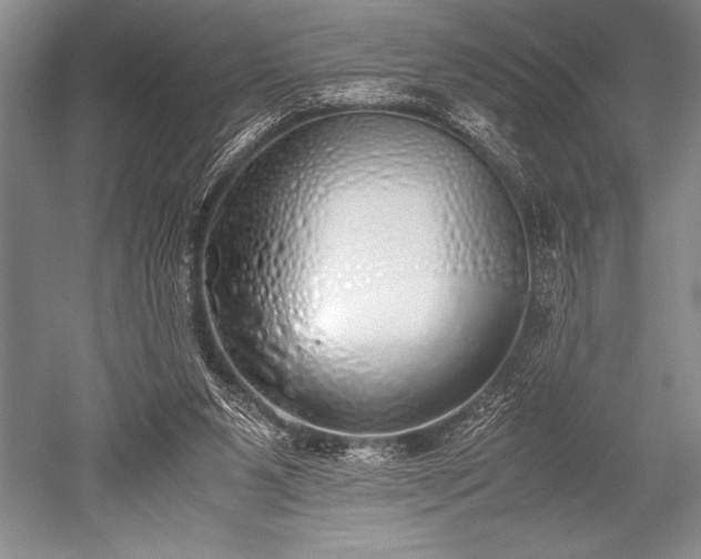 X0000052580111200507081738