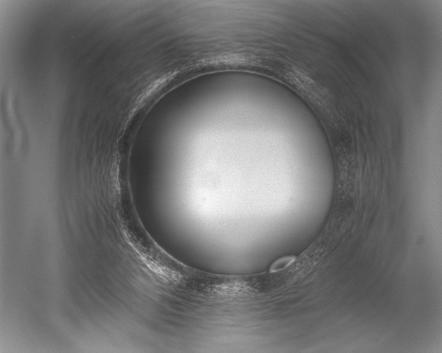 X0000052580112200507081738