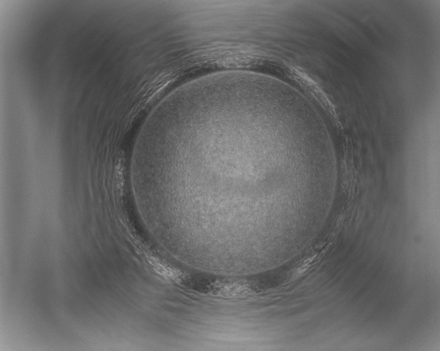 X0000052580113200507081738