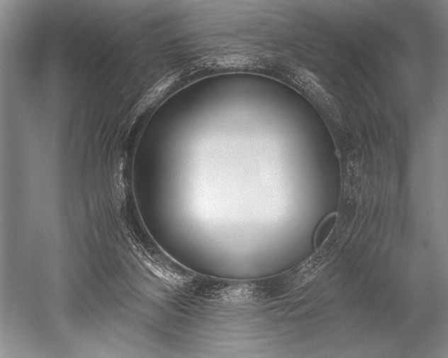 X0000052580116200507081738