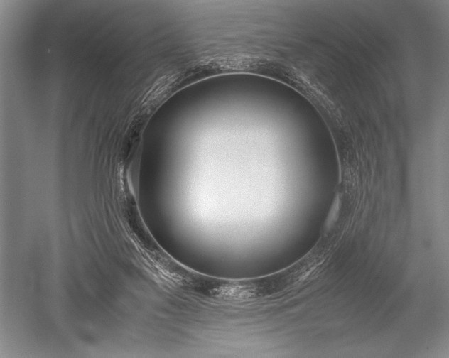 X0000052580117200507081738