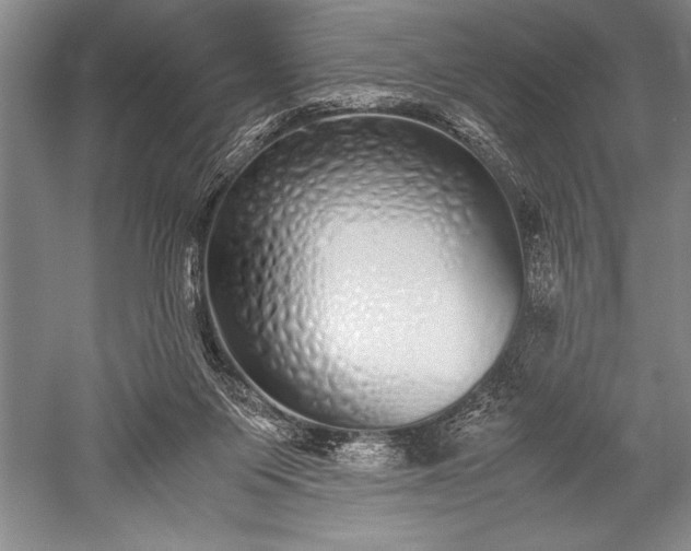 X0000052580119200507081738