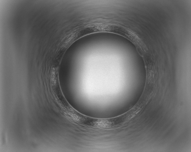 X0000052580121200507081738
