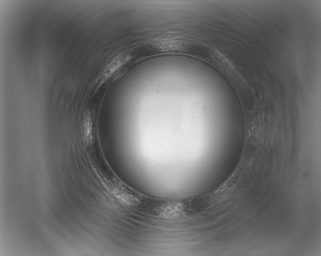 X0000052580124200507081738
