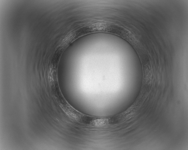 X0000052580126200507081738