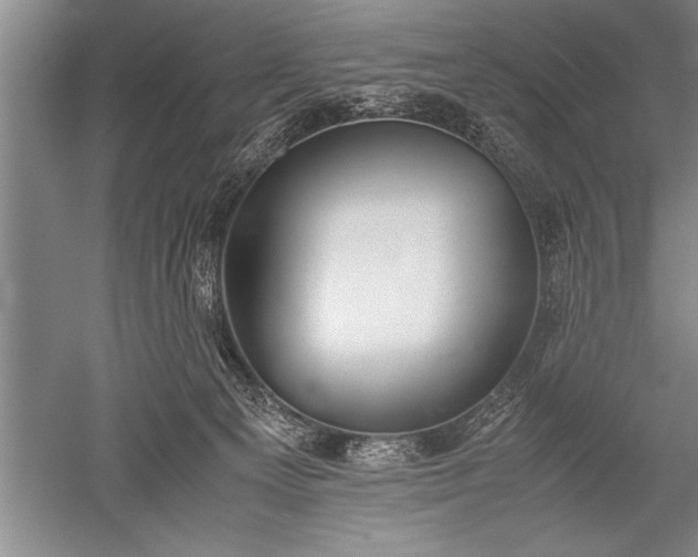 X0000052580129200507081738