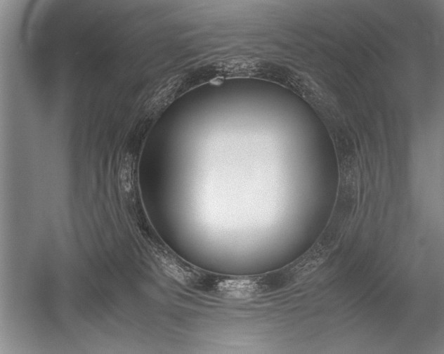 X0000052580133200507081738