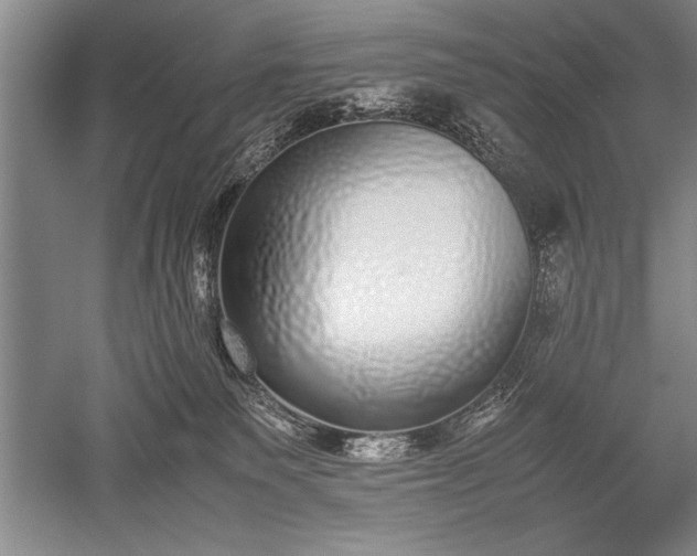 X0000052580135200507081738