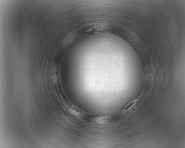 X0000052580136200507081738