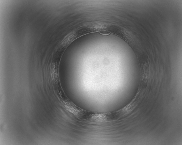 X0000052580140200507081738