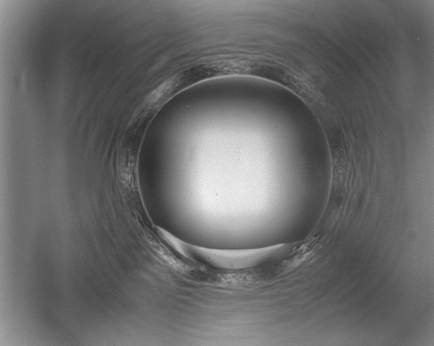 X0000052580141200507081738