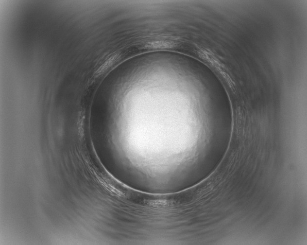 X0000052580153200507081737