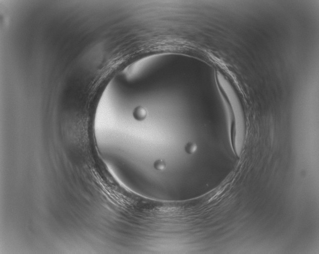 X0000052580154200507081737