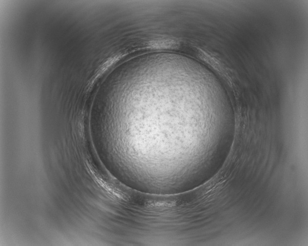 X0000052580155200507081737