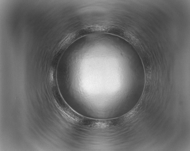 X0000052580166200507081737