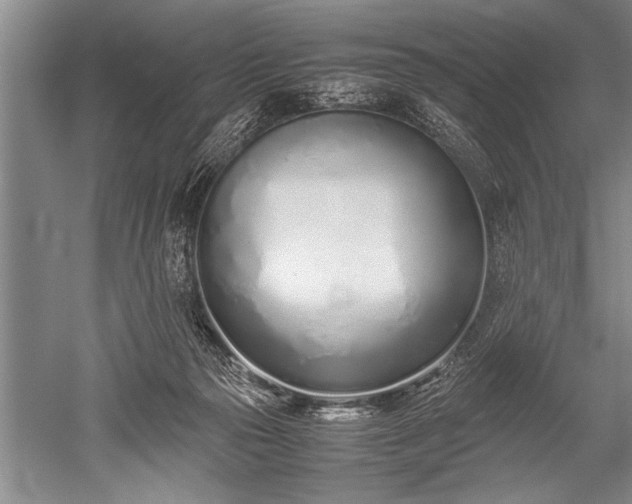 X0000052580169200507081737