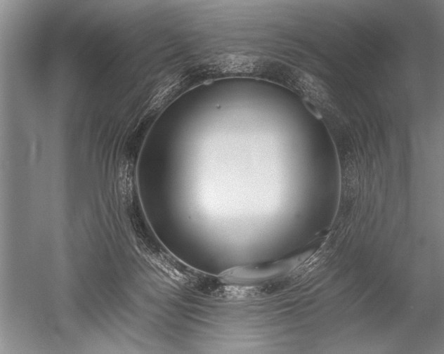 X0000052580172200507081737