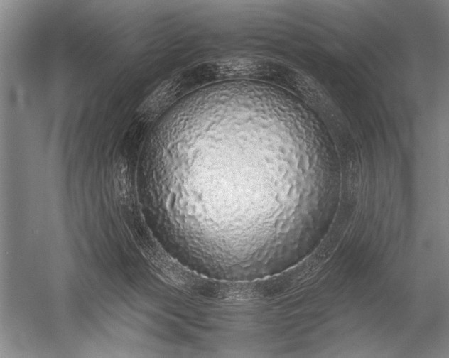 X0000052580173200507081737