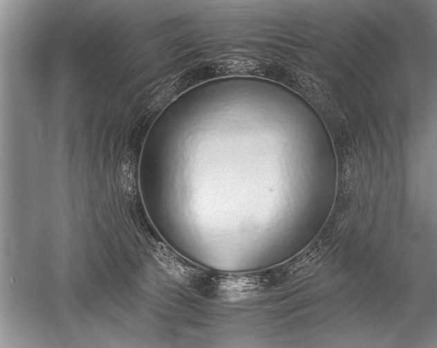X0000052580177200507081737