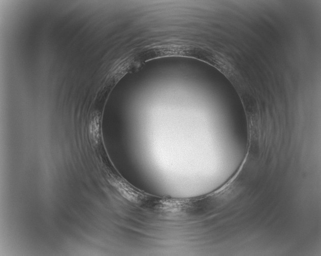 X0000052580190200507081738
