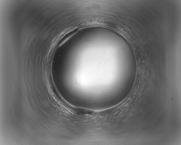 X0000052580193200507081737