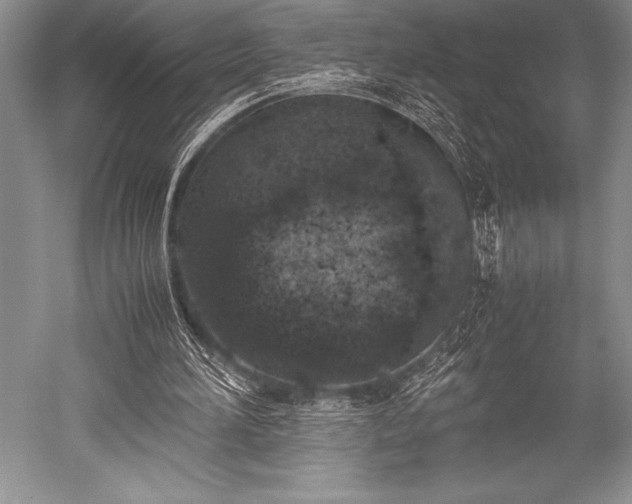 X0000052580196200507081737