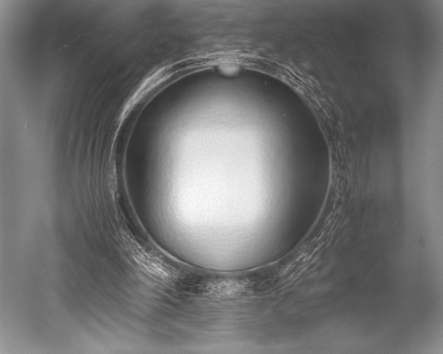 X0000052580198200507081737