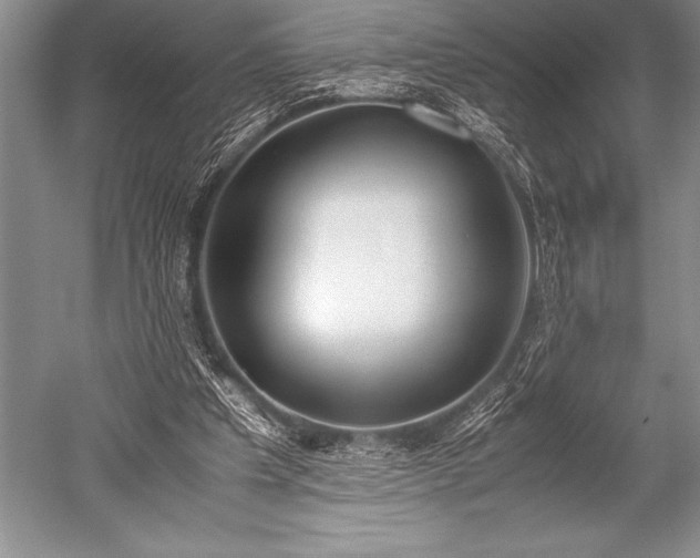 X0000052580201200507081737