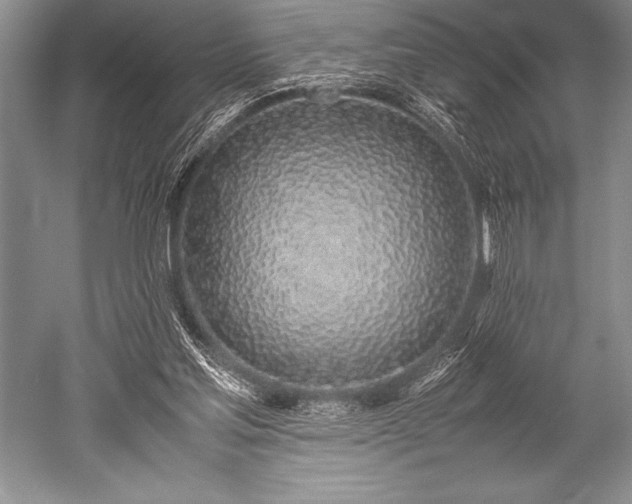 X0000052580205200507081737