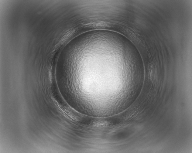 X0000052580206200507081737