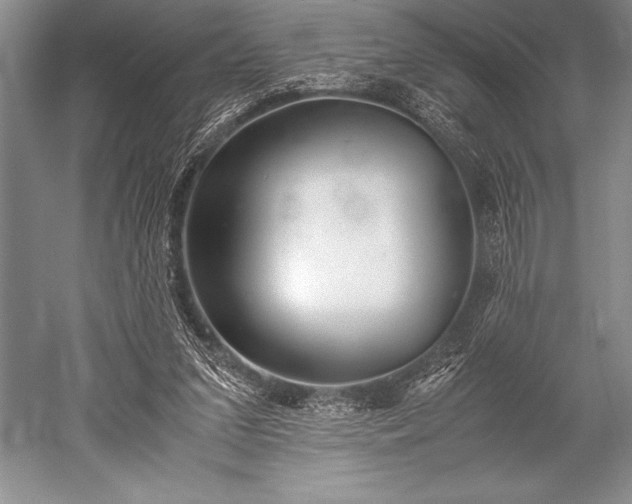 X0000052580207200507081736